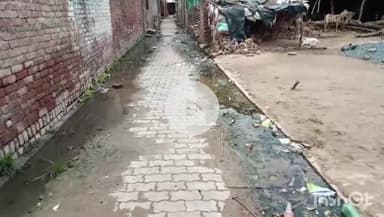 औरैया: विकासखंड की ग्राम पंचायत धोरेरा में सफाई न होने से लोगों में आक्रोश प्रधान पर लगाए आरोप #jansamasya