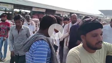 शाजापुर: शाजापुर कृषि उपज मंडी में 8740 क्विंटल प्याज की आवक, ₹1150 प्रति क्विंटल बिकी