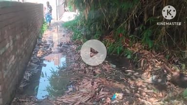 थरथरी: गोखुलपुर गांव की मुख्य गली में बहता है नाली का पानी, लोग परेशान #jansamasya