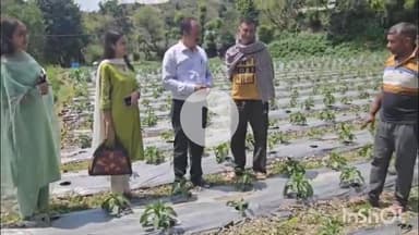 कंडाघाट: विकसित कृषि संकल्प अभियान के तहत कंडाघाट के 16 गांवों में कृषि विभाग के अधिकारियों की टीम पहुंची, किसानों की समस्याएं जानी गईं