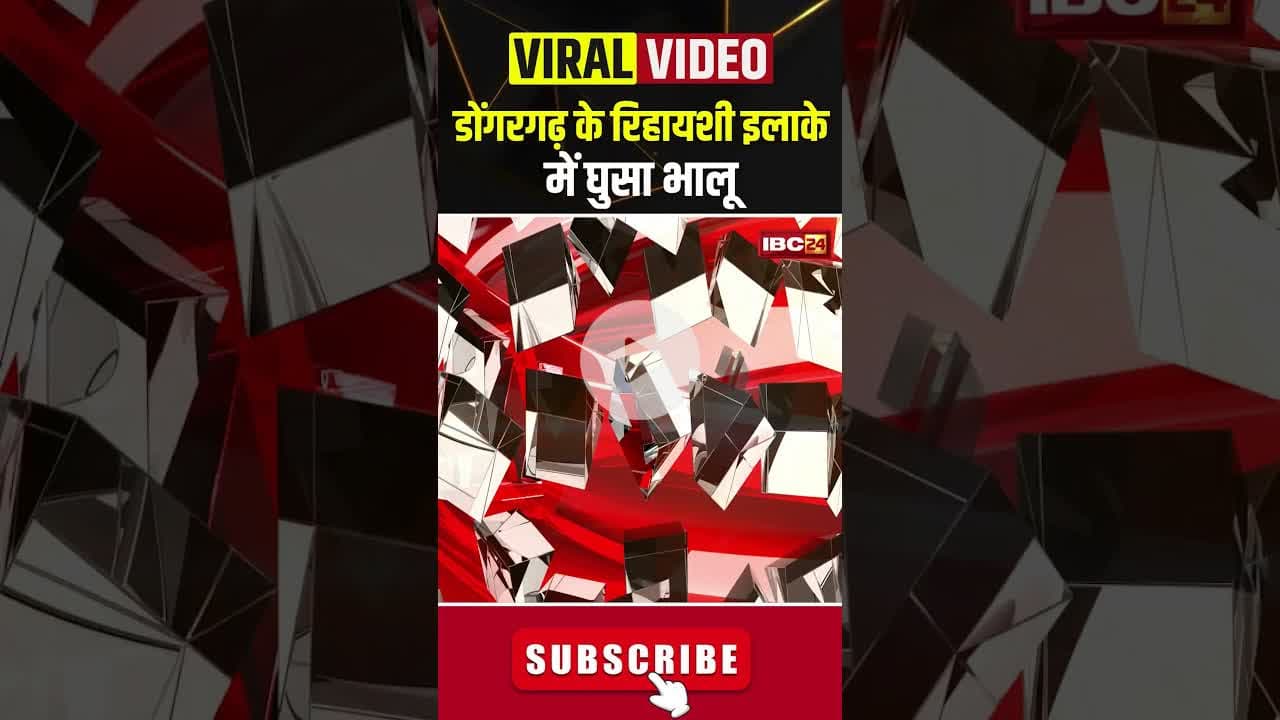 डोंगरगढ़ के रिहायशी इलाके में घुसा भालू #cgnews #cgviralvideos #bear #viralvideo #dongargarh