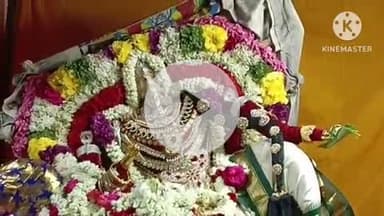 கரூர்: தேர் வீதியில் வைகாசி திருவிழாவில் மாரியம்மன் புஷ்ப வாகனத்தில் தரிசனம்