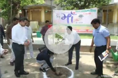 खबर औरैया से शहीद पार्क में हुआ वृक्षारोपण एक पेड़ मां के नाम