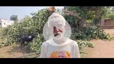 पांकी: पांकी के बस डीहा में बरगद का पेड़ काटने से ग्रामीणों में आक्रोश