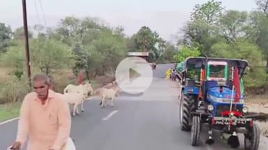 पचोर: पचोर के पास उमरिया जोड़ पर नाले में पलटी सरिया से भरी ट्राली, टला बड़ा हादसा