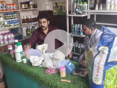 श्योपुर: कृषि विभाग द्वारा लिए गए धान बीज के सैंपल, कलेक्टर के निर्देश पर हुई कार्यवाही