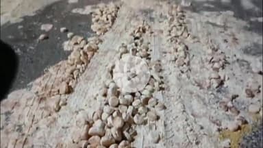 शिवपुर में चारपहिया वाहन ने ठेला संचालक को मारी टक्कर, घायल