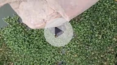 झांसी: सीपरी बाजार थाना क्षेत्र में अलग-अलग जगहों पर तीन शव मिलने से फैली सनसनी, रेलवे ट्रैक से दो और एक पहूंज बांध में मिला शव