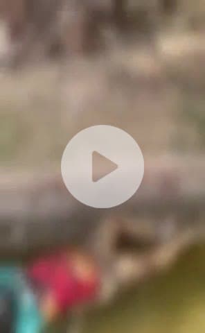 रायसिंहनगर: रायसिंहनगर के 11 टीके व 12 टीके नहर के टेल पर बहकर आया अज्ञात शव