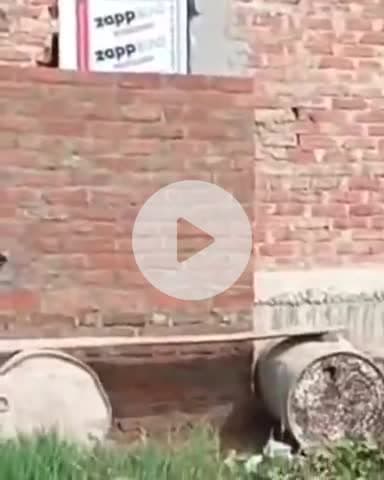 बिल्हौर: बिल्हौर तहसील के सिं द्यौली गांव में ग्राम समाज की जमीन पर अवैध कब्जा