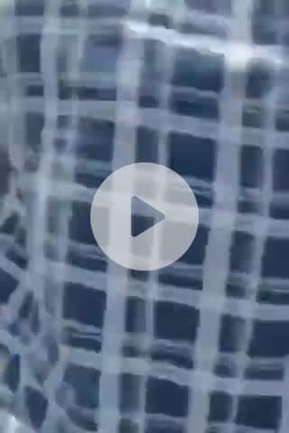 टीकमगढ़: टीकमगढ़: युवक से आधा दर्जन लोगों ने की मारपीट, सोशल मीडिया पर वीडियो वायरल