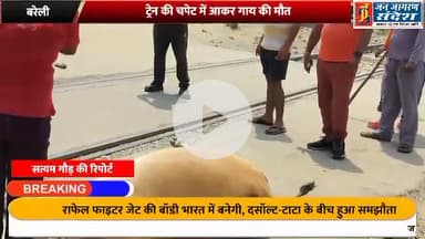 ट्रेन की चपेट में आकर गाय की मौत ✍️