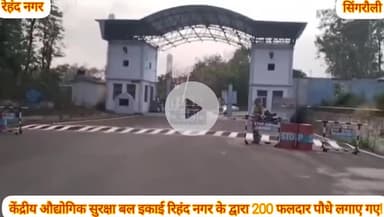 पर्यावरण दिवस के अवसर पर केन्द्रीय औद्योगिक सुरक्षा बल ईकाई आरएचटीपी रिहन्द में किया गया वृक्षारोपण !