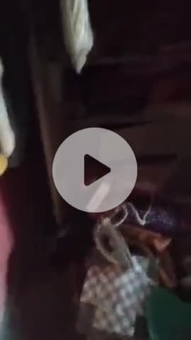 मारवाड़ जंक्शन: पाचेटिया गांव में एक रहवासी मकान में हुई लाखों की चोरी, पुलिस चोरों की तलाश में जुटी