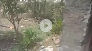 रामगंजमण्डी: खैराबाद में खेत पर लगी भीषण आग, 3 लाख का सामान जलकर हुआ राख, किसान ने अज्ञात के खिलाफ थाने में दर्ज कराया मामला