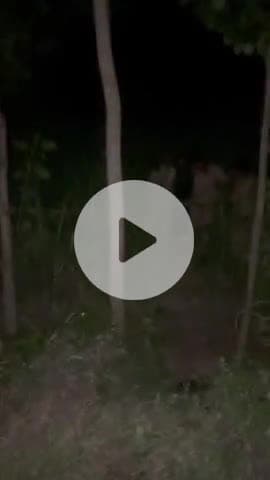 थाना देवरनियां बरेली पुलिस द्वारा दुराचार के आरोपी को पुलिस मुठभेड़ के दौरान गिरफ्तारी एवं बरामदगी