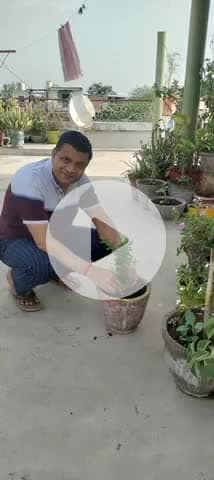 आओ मिलकर एक पेड़ लगाएं,,
पर्यावरण को स्वच्छ बनाएं।।
डॉ वी के निरंजन,, वरिष्ठ फिजिशियन,, झांसी,,