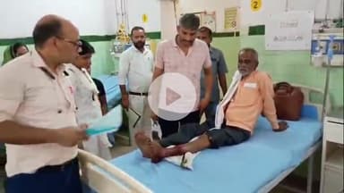 बरेली: बरेली शहर से लेकर देहात तक आवारा कुत्तों का आतंक जारी, गोल्डन ग्रीन पार्क में एक व्यक्ति पर आवारा कुत्ते ने किया हमला