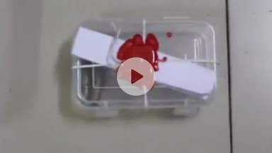 અમદાવાદ શહેર: શહેરમાં ગેરકાયદે હથિયાર સાથે ઝડપાયો આરોપી