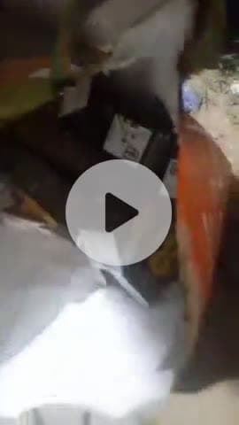 बेतिया: नगर थाना पुलिस ने गुप्त सूचना पर शराब कारोबारी को अंग्रेजी शराब के साथ गिरफ्तार कर जेल भेजा