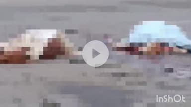 जगदलपुर: चोकावाडा़ चौक में अज्ञात वाहन ने 5 गौवंशों को रौंदा, 4 गौवंशों की मौत, नगरनार पुलिस जांच में जुटी