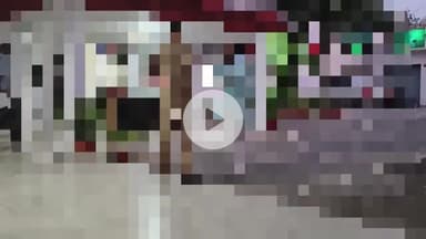 अमरोहा: रजबपुर थाना इलाके में विवाहिता ने फांसी लगाकर की आत्महत्या, परिवार में मचा कोहराम, पुलिस जांच में जुटी