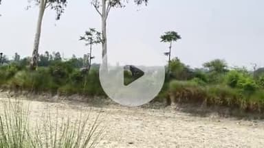 कादीपुर: फूटेहरी गांव के पास नीलगाय की चपेट में आने से बाल-बाल बचा मोटरसाइकिल सवार, नहीं तो हो सकता था बड़ा हादसा