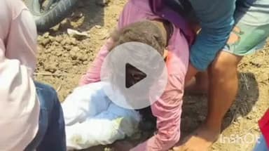 नानपारा: कल्पीपारा चौराहे के पास नीलगाय से टकराने से बाइक सवार घायल, इलाज जारी