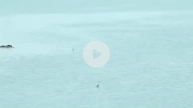 અમદાવાદ શહેર: વાસણા બેરેજના દરવાજાની રિપેરિંગ કામગીરી પૂર્ણ