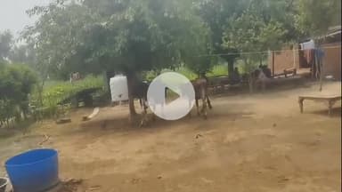 धनौरा: गजरौला के गांव वारसाबाद में स्थित घर में चोरों ने किया चोरी का प्रयास, ग्रामीणों के शोर मचाने पर भागे चोर