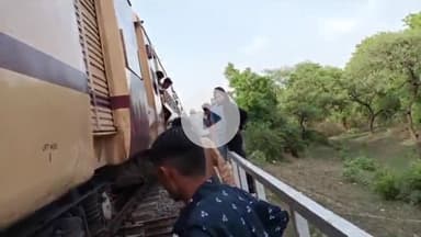 सारंगपुर: सारंगपुर रेलवे ट्रैक पर कोटा-इंदौर ट्रेन से कटकर गाय की दर्दनाक मौत, ट्रेन रुकी