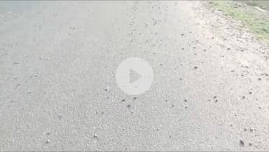 देवेंद्रनगर: सड़क में बिखरी रेत और गिट्टी से फिसल कर आए दिन हादसे का शिकार हो रहे बाइक सवार ।#jansamasya