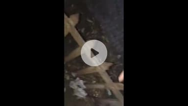 कोल: बदरबाग़ में RPF कर्मियों ने युवकों को पीटा, महिलाओं के सामने गाली-गलौज का वीडियो हुआ वायरल