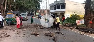 हज़ारीबाग: विष्णुगढ़-गोमिया मार्ग पर पेड़ की डाल गिरने से लोग बाल-बाल बचे