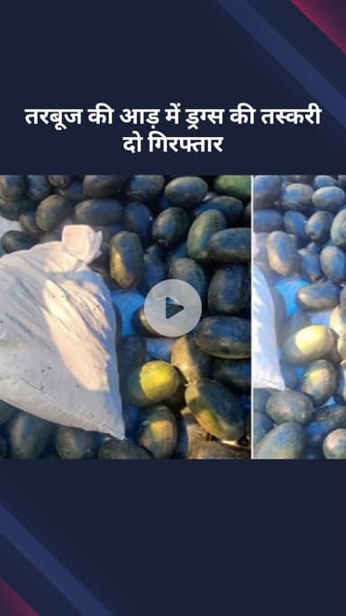 सरस्वती विहार: दिल्ली: तरबूज की आड़ में ड्रग्स की तस्करी, करीब दो करोड़ का गांजा जब्त, दो गिरफ्तार