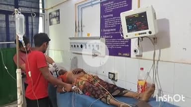 जमुई: तेतरहट में घरेलू विवाद के चलते महिला ने खाई सल्फास की गोली, गंभीर अवस्था में सदर अस्पताल में भर्ती