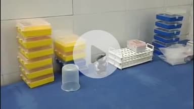 मोहनिया: सदर अस्पताल भभुआ में आरटी पीसीआर किट उपलब्ध नहीं, सिविल सर्जन ने कहा- विभाग को भेजी गई है रिपोर्ट