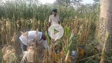 मोतिहारी: पूर्वी चंपारण मोतिहारी जिले के विभिन्न थाना क्षेत्रों में A.L.T.F. ने 2200 लीटर विनिष्ट कर 07 लोगों को गिरफ्तार किया