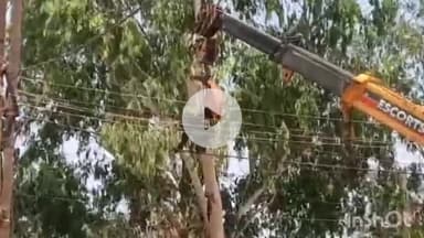 बासोदा: गंजबासौदा में बारिश से पहले बिजली कंपनी का मेंटेनेंस, रविवार दोपहर 2 से 4 बजे तक बिजली कटौती