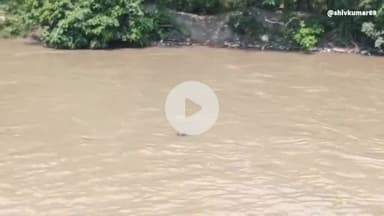 गाजना सिंधारपुर के पास निगोही रजवाहा नहर में तैरता हुआ मिला अज्ञात शव मचा हड़कंप, दियोरिया पुलिस ने शव को पीएम हेतु भेजा