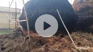 घोसी: बेलई गांव में असामाजिक तत्वों ने पूर्व मुखिया के खलिहान में नेवारी के पुंज में लगाई आग