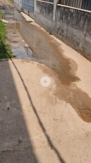 नवादा जिला स्थित सद्भावना चौक वार्ड संख्या 38 में मैट्रो हॉस्पिटल वाली गली नरक की स्थिति बनी हुई है