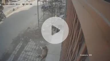 सुल्तानपुर: सुल्तानपुर में सर्राफा दुकान से जेवर छीनकर भाग रहे 3 में से 2 आरोपियों को लोगों ने पकड़ा, महिला आरोपी हुई फरार