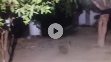 धनौरा: गजरौला गांव बारसाबाद में चोरों का आतंक, ग्रामीण रात में परेशान होकर हुए हंगामा