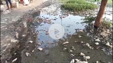 नाथनगर: शाहजंगी पंचायत के बदर आलमपुर गांव में जलजमाव से जनजीवन बेहाल#jansamasya