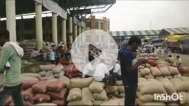 शाजापुर: शाजापुर मंडी में आज गेहूं ₹2621 प्रति क्विंटल बिका, कृषि उपज मंडी में बासी ईद का अवकाश रहा