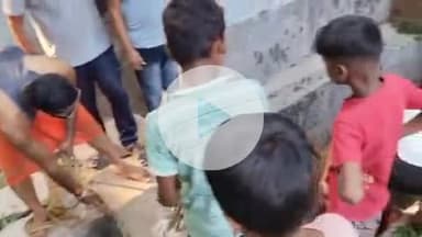 झाझा: झाझा के गणेशी मंदिर के पास 5 फीट गहरे नाले में गिरा बसहा बैल, लोगों ने रेस्क्यू कर सुरक्षित बाहर निकाला