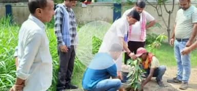 बेरमो: फुसरो में पूर्व सांसद रविन्द्र कुमार पाण्डेय ने किया वृक्षारोपण