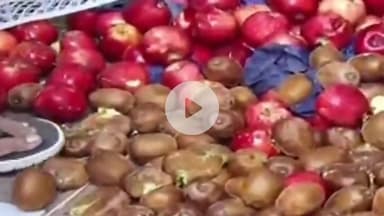 અમદાવાદ શહેર: આતંકવાદને સમર્થન આપનારનો અમદાવાદમાં વિરોધ