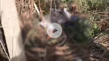 रामगंजमण्डी: उंडवा रोड़ पर थार और बाइक की आमने-सामने की भिड़ंत में कोटा स्टोन व्यापारी की हुई दर्दनाक मौत, थार चालक फरार